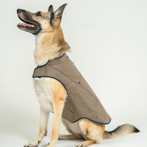 Dog's Camber Original Dog Vest