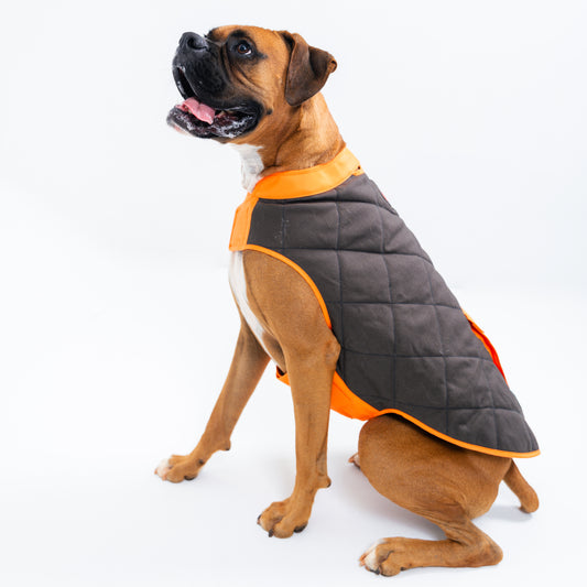 Dog's Highland Dog vest