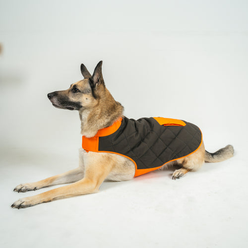 Dog's Highland Dog vest